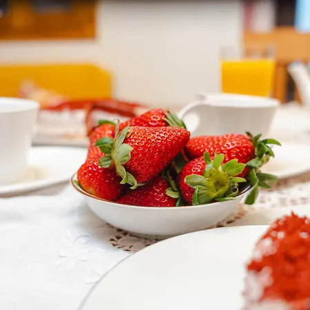 Montanhas Do Xisto - Solar Do Xisto Nascente Candal (Lousa)