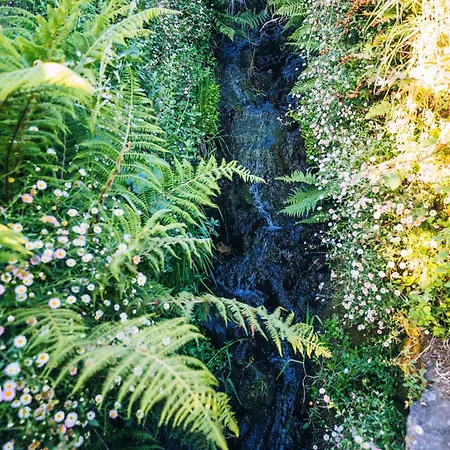 Montanhas Do Xisto - Solar Do Xisto Nascente