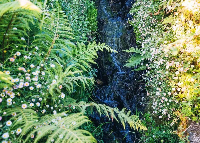 Montanhas Do Xisto - Solar Do Xisto Nascente